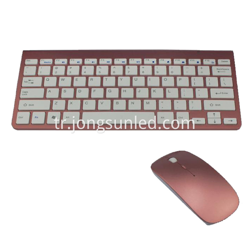 Rose Gold Mouse Keyboard 2